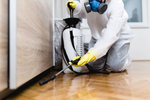 Best Residential Pest Control  in North Gates, NY
