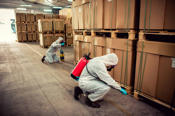 Best Affordable Pest Control Services  in North Gates, NY