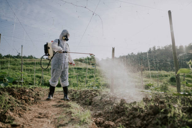 Best Mosquito Control Services  in North Gates, NY