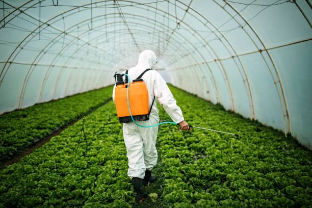 Best Best Pest Control Companies  in North Gates, NY