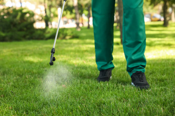 Best Pest Inspection Near Me  in North Gates, NY