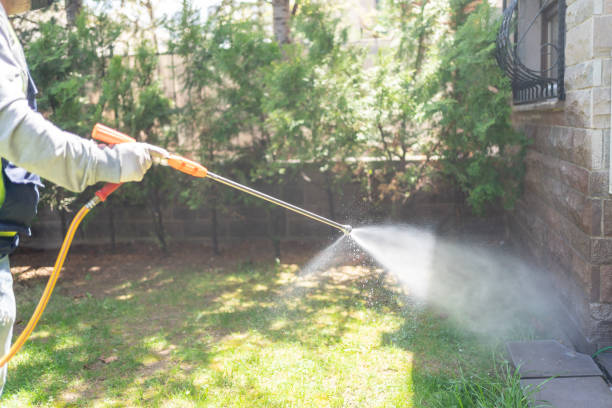 Professional Pest Control in North Gates, NY