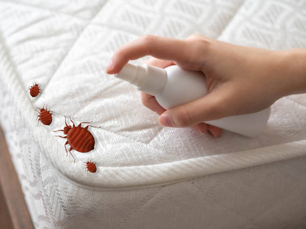 Best Best Pest Control Companies  in North Gates, NY