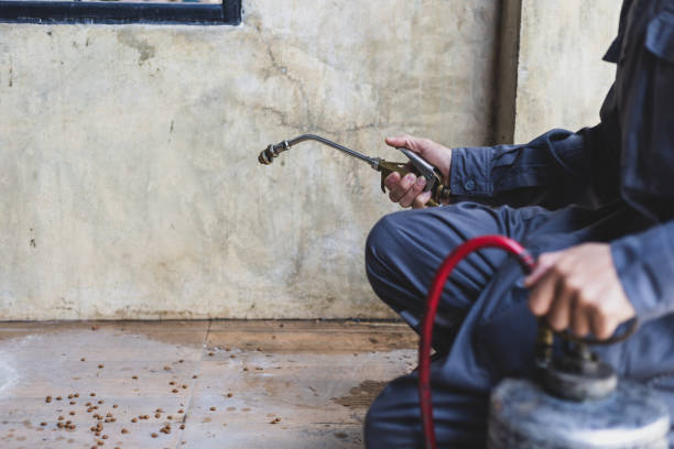 Best Best Pest Control Companies  in North Gates, NY